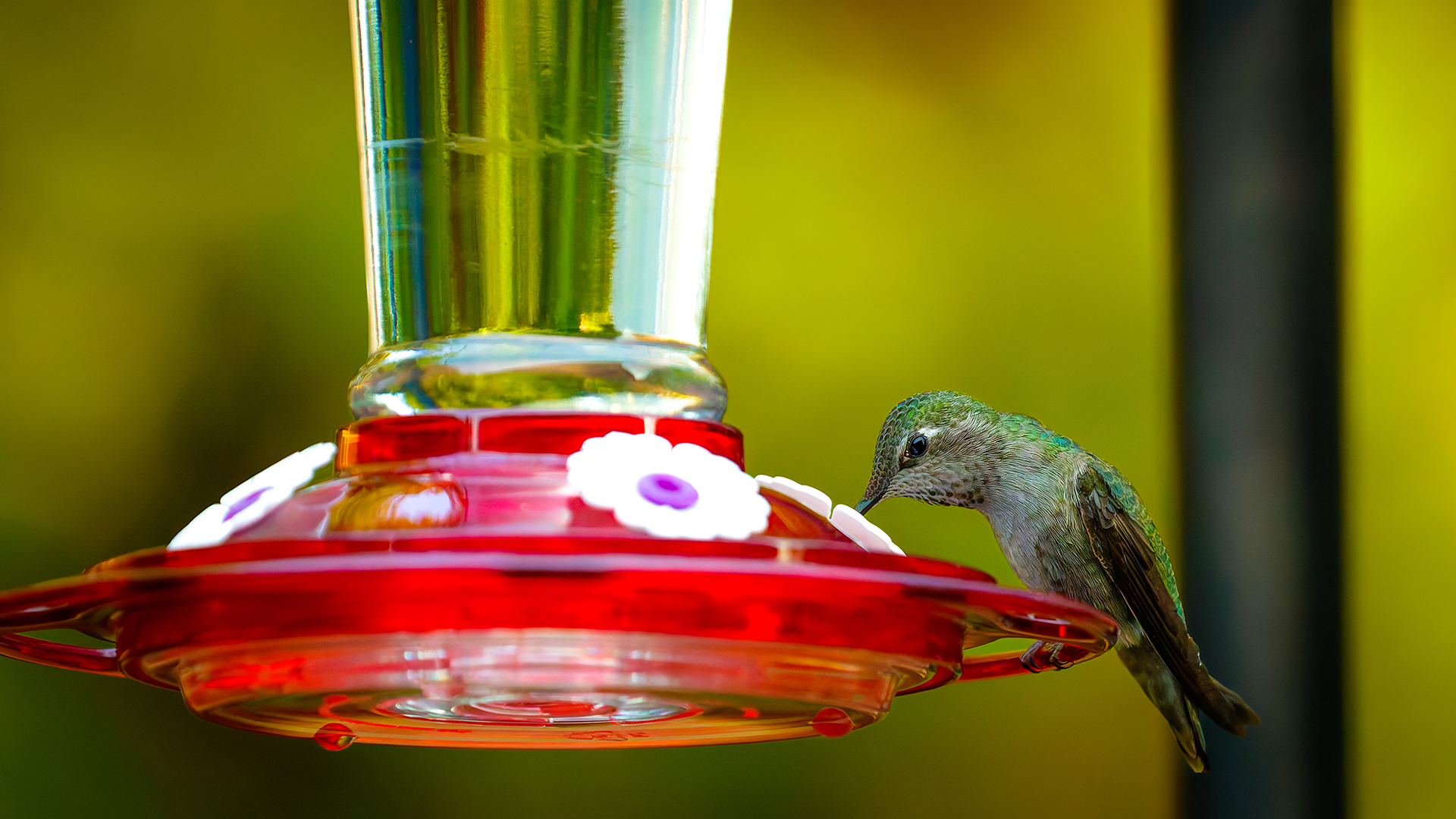 Hmpg 0000 0000 000b47b