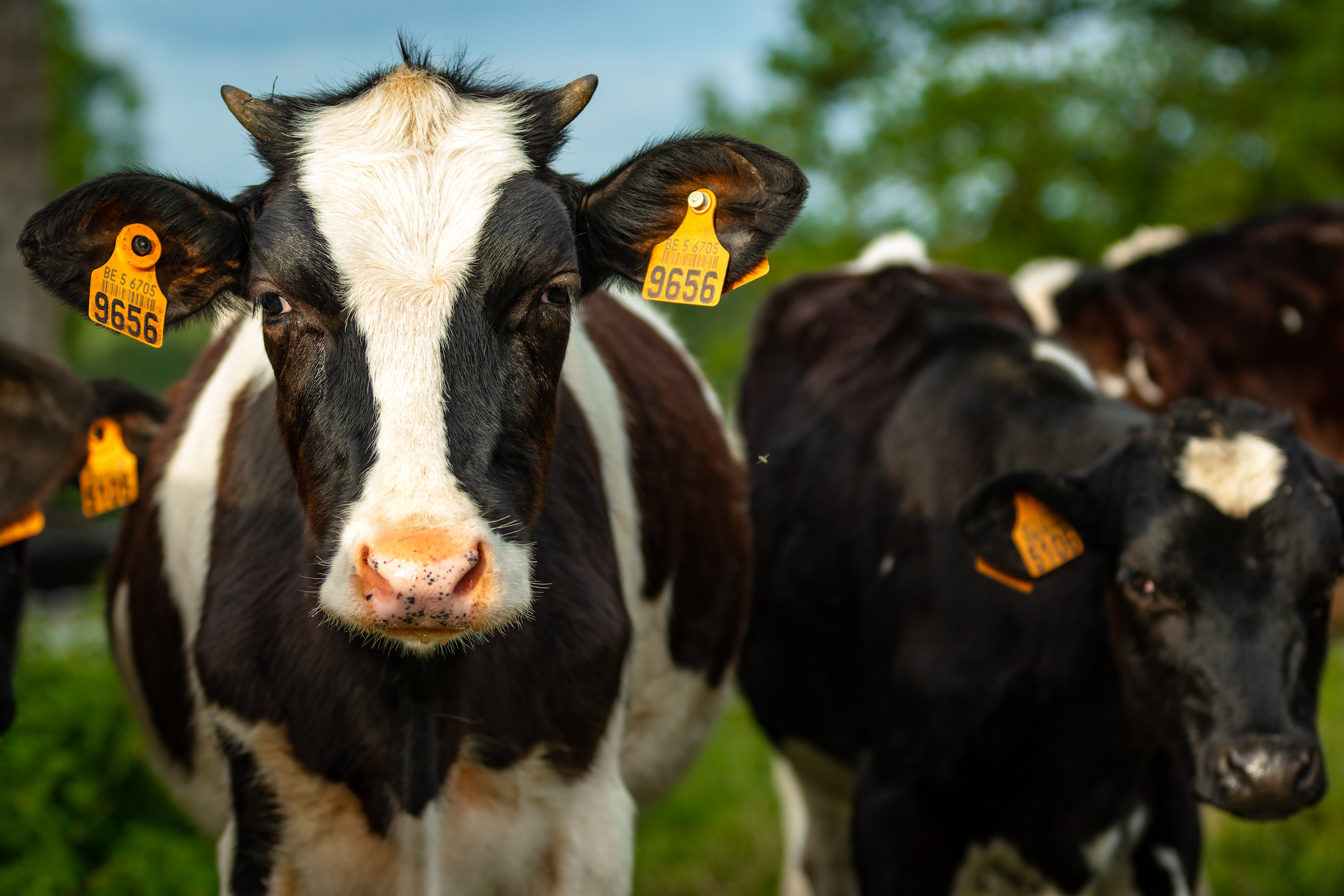 2023 Circuit de Spa Francorchamps 76